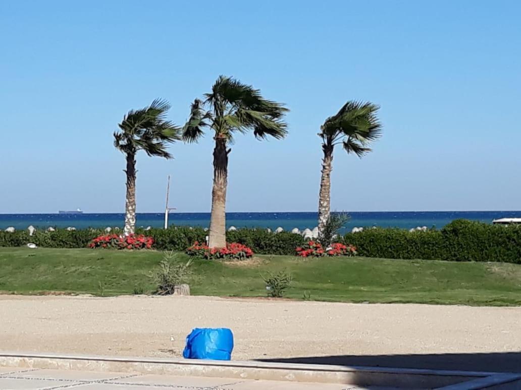 Seaview Chalets In Porto South Beach - Families Only Ajn-Szuhna Kültér fotó
